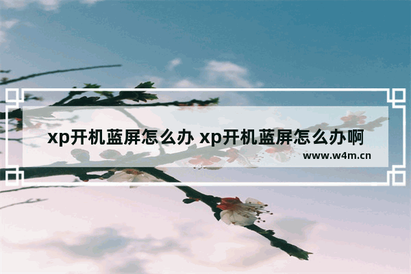 xp开机蓝屏怎么办 xp开机蓝屏怎么办啊