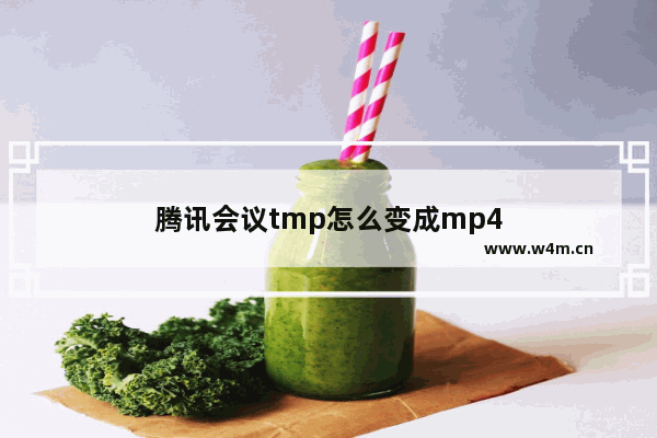 腾讯会议tmp怎么变成mp4