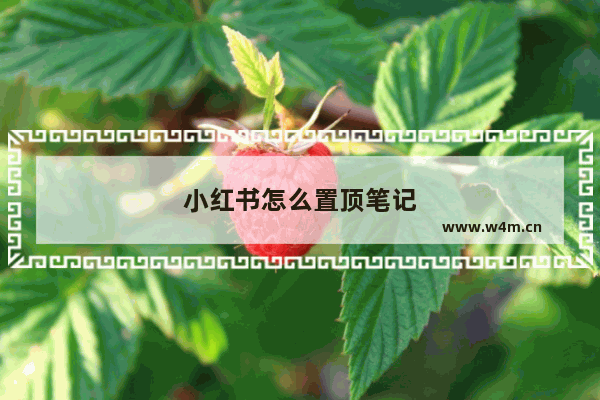 小红书怎么置顶笔记