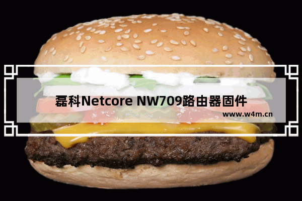 磊科Netcore NW709路由器固件升级方法