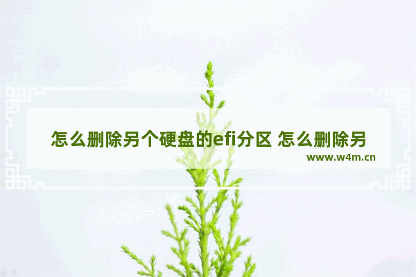 怎么删除另个硬盘的efi分区 怎么删除另一个硬盘的系统