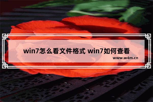 win7怎么看文件格式 win7如何查看文件格式