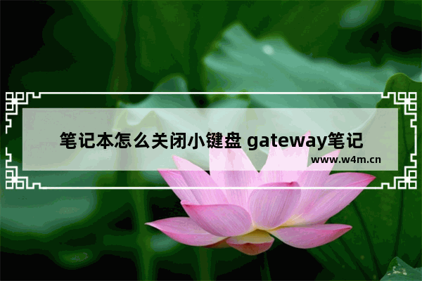 笔记本怎么关闭小键盘 gateway笔记本怎么关闭小键盘