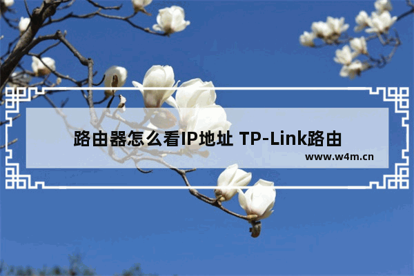 路由器怎么看IP地址 TP-Link路由器查看IP地址的方法