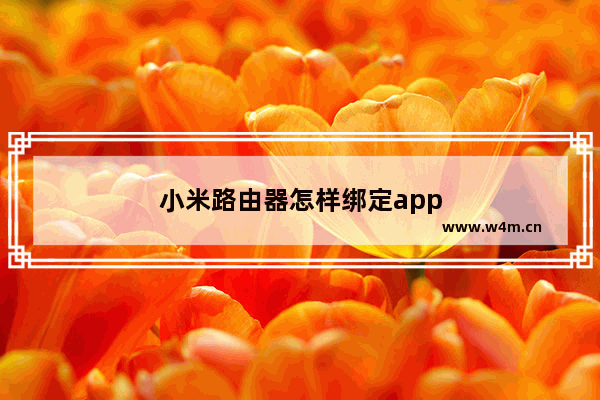 小米路由器怎样绑定app