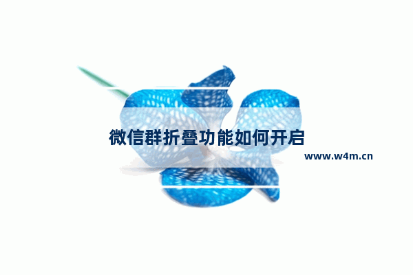 微信群折叠功能如何开启