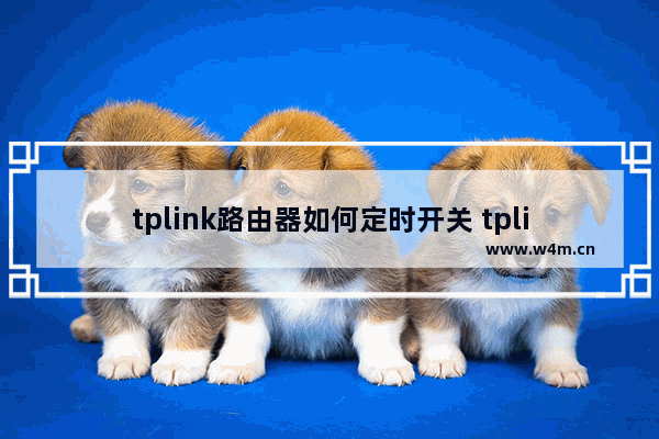 tplink路由器如何定时开关 tplink路由器定时开关方法【步骤】