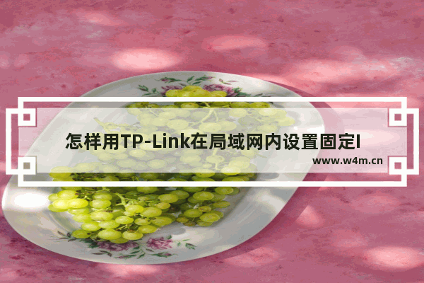 怎样用TP-Link在局域网内设置固定IP