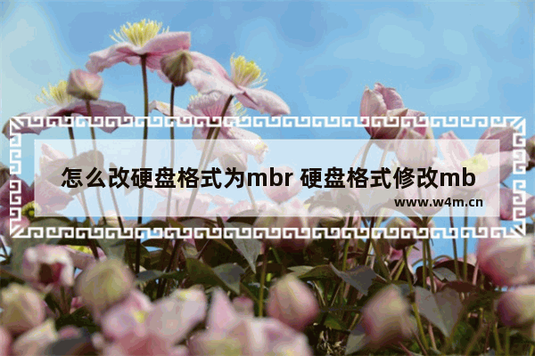 怎么改硬盘格式为mbr 硬盘格式修改mbr