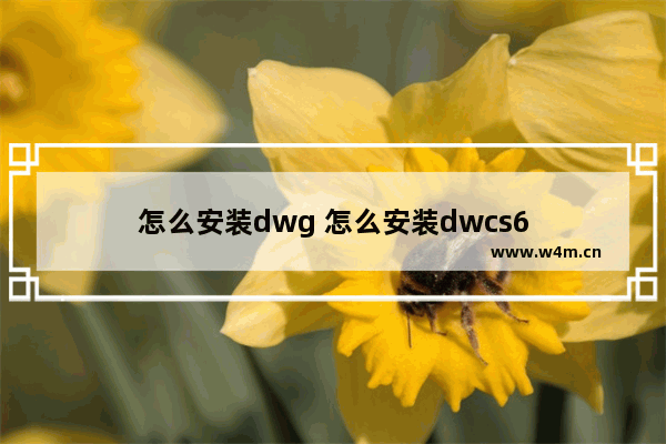 怎么安装dwg 怎么安装dwcs6