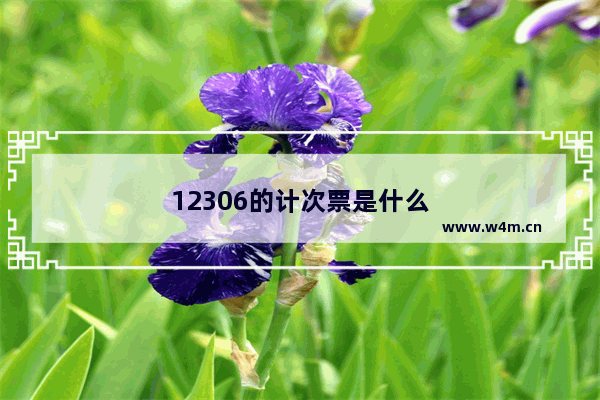 12306的计次票是什么