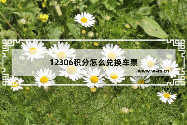 12306积分怎么兑换车票