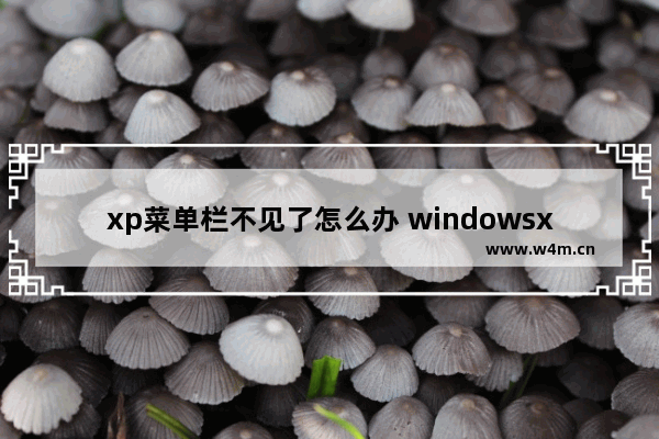 xp菜单栏不见了怎么办 windowsxp菜单栏不见了