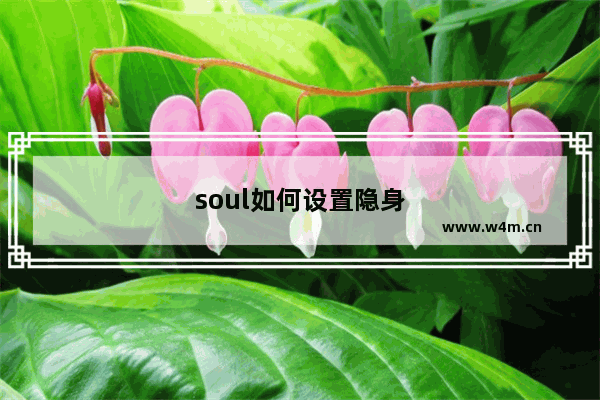 soul如何设置隐身