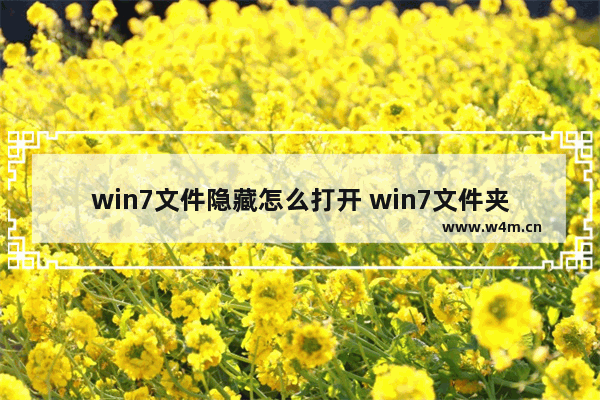 win7文件隐藏怎么打开 win7文件夹中的隐藏文件怎么显示