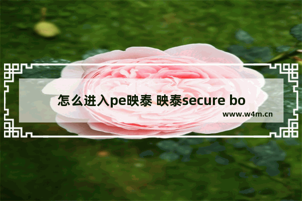 怎么进入pe映泰 映泰secure boot在哪