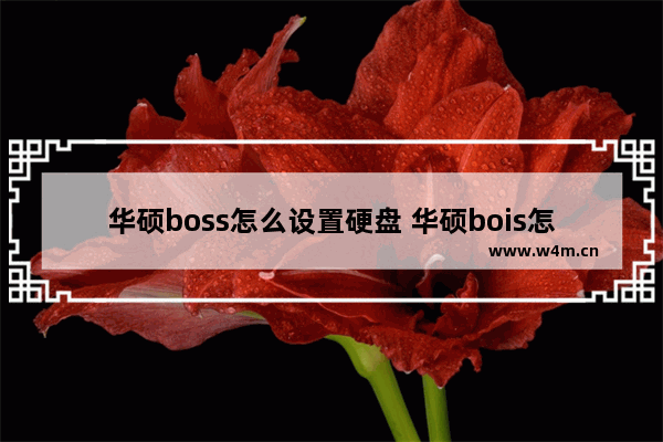 华硕boss怎么设置硬盘 华硕bois怎么设置硬盘启动