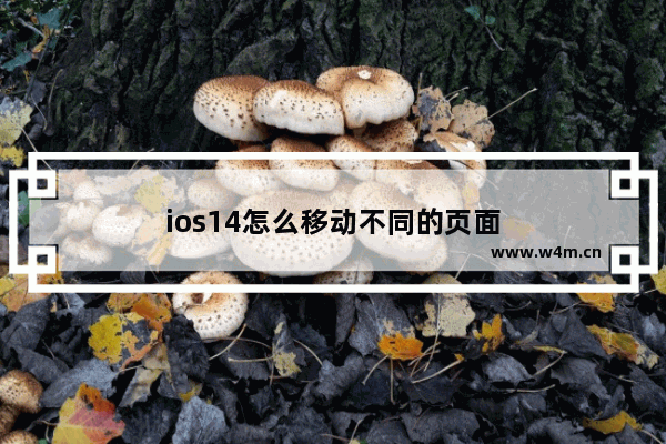 ios14怎么移动不同的页面