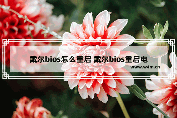 戴尔bios怎么重启 戴尔bios重启电脑