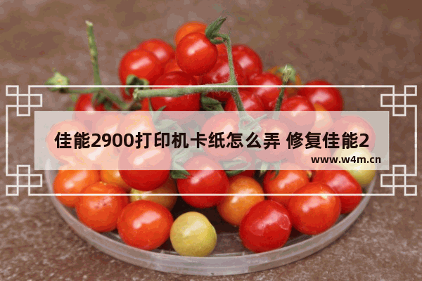 佳能2900打印机卡纸怎么弄 修复佳能2900打印机卡纸的方法