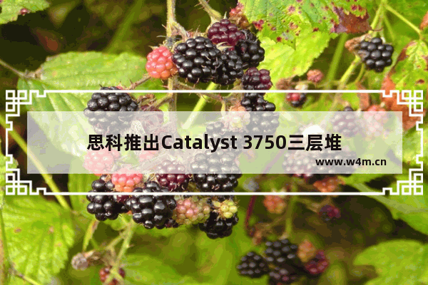 思科推出Catalyst 3750三层堆叠交换机