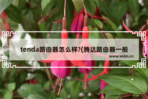 tenda路由器怎么样?(腾达路由器一般多少钱)