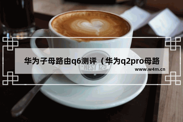 华为子母路由q6测评（华为q2pro母路由信号好吗）