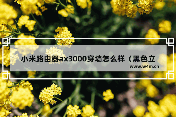 小米路由器ax3000穿墙怎么样（黑色立式机身设计，360度的全面覆盖）