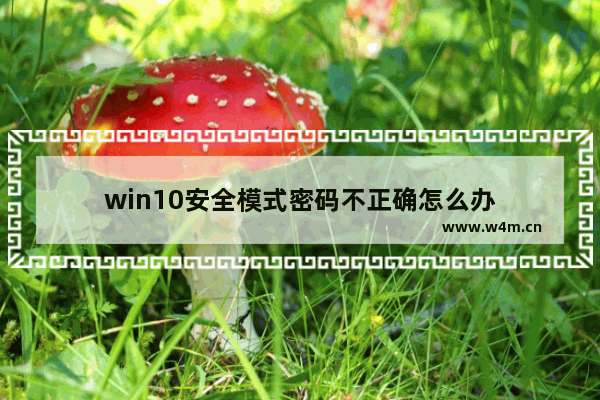 win10安全模式密码不正确怎么办