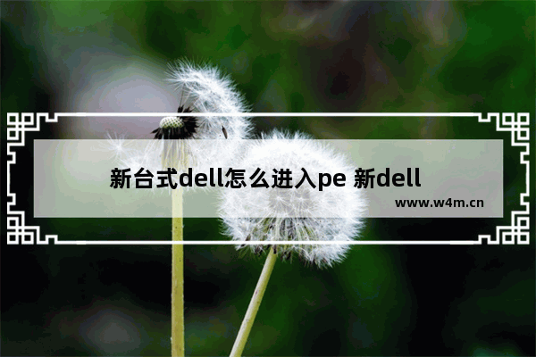 新台式dell怎么进入pe 新dell 台式机 如何进bios设置