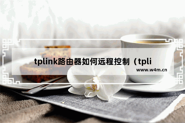 tplink路由器如何远程控制（tplink控制上网设备）