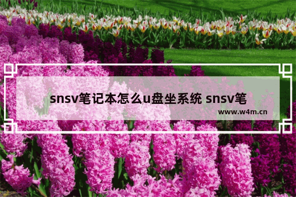 snsv笔记本怎么u盘坐系统 snsv笔记本电脑怎么设置u盘启动