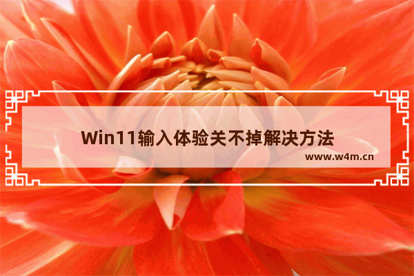 Win11输入体验关不掉解决方法