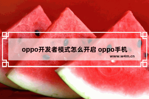 oppo开发者模式怎么开启 oppo手机开启开发者模式的方法