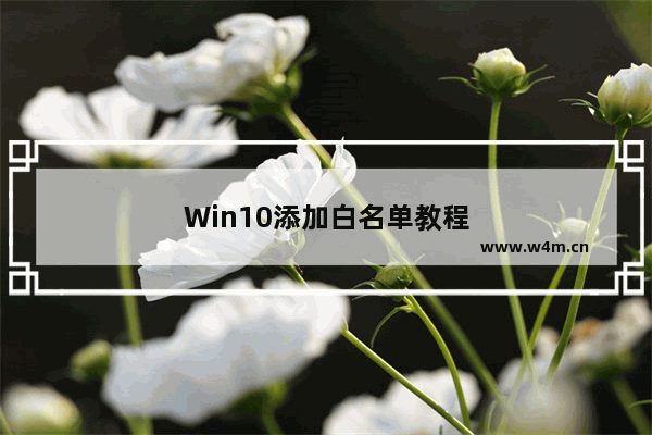 Win10添加白名单教程