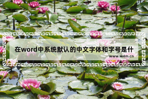 在word中系统默认的中文字体和字号是什么