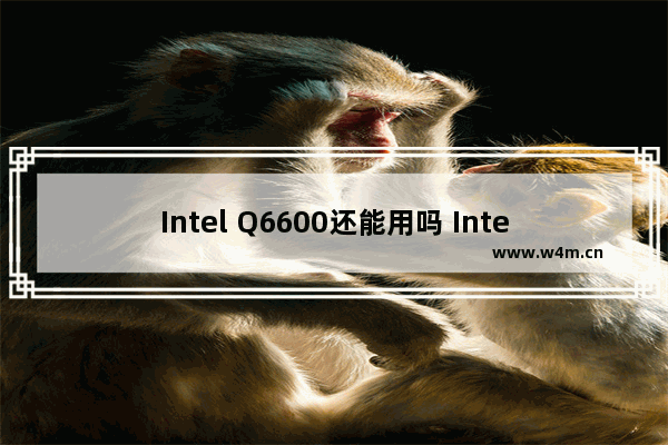 Intel Q6600还能用吗 Intel Q6600性能介绍