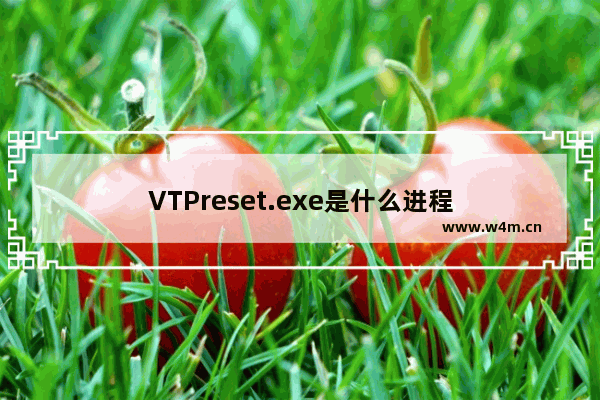 VTPreset.exe是什么进程