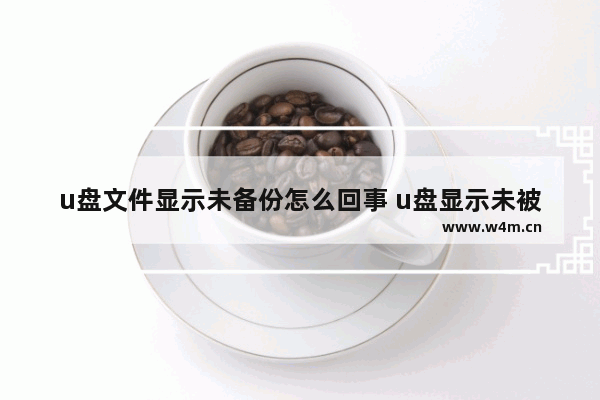 u盘文件显示未备份怎么回事 u盘显示未被格式化怎么回事