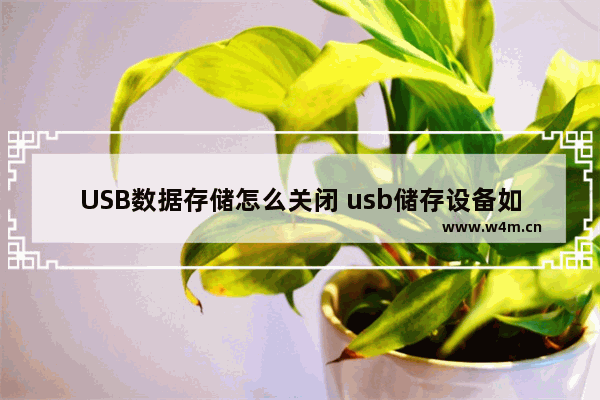 USB数据存储怎么关闭 usb储存设备如何关闭