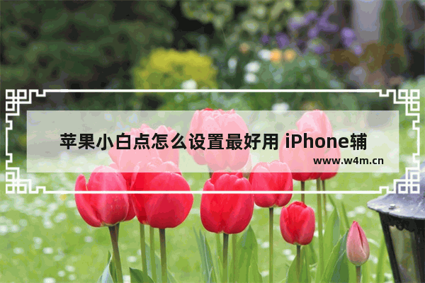 苹果小白点怎么设置最好用 iPhone辅助功能使用方法