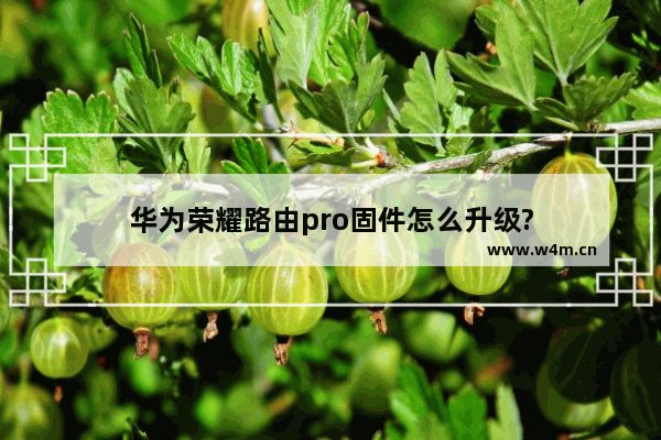 华为荣耀路由pro固件怎么升级?