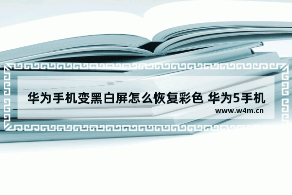 华为手机变黑白屏怎么恢复彩色 华为5手机白屏处理方法