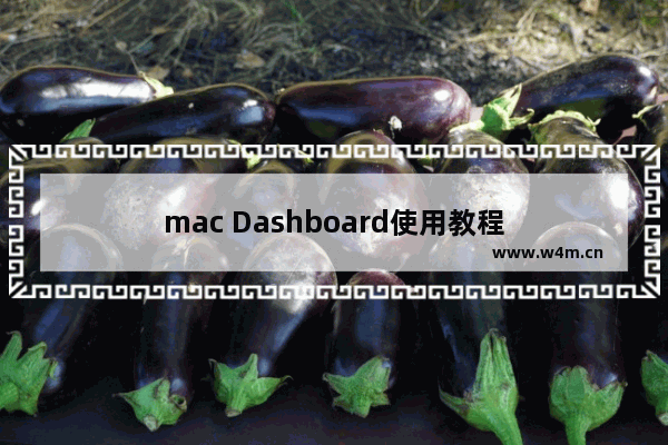 mac Dashboard使用教程