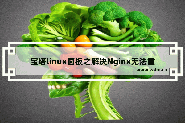 宝塔linux面板之解决Nginx无法重载 No such process-