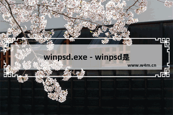 winpsd.exe - winpsd是什么进程