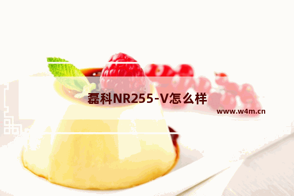 磊科NR255-V怎么样