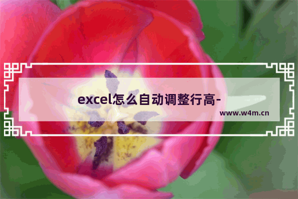 excel怎么自动调整行高-