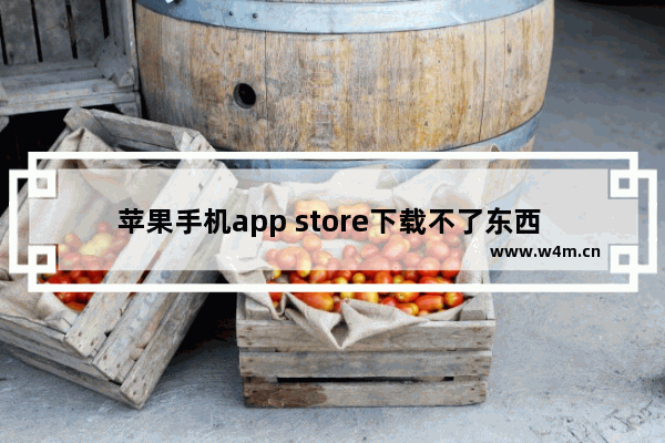 苹果手机app store下载不了东西 苹果手机应用商店下载不了软件解决方法