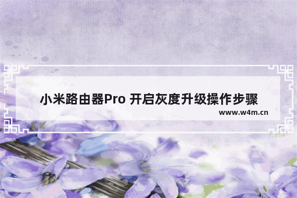 小米路由器Pro 开启灰度升级操作步骤